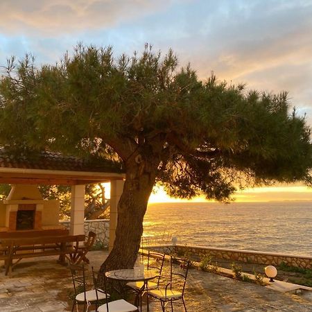 Dolac Apartment L'Odore Del Mare מראה חיצוני תמונה